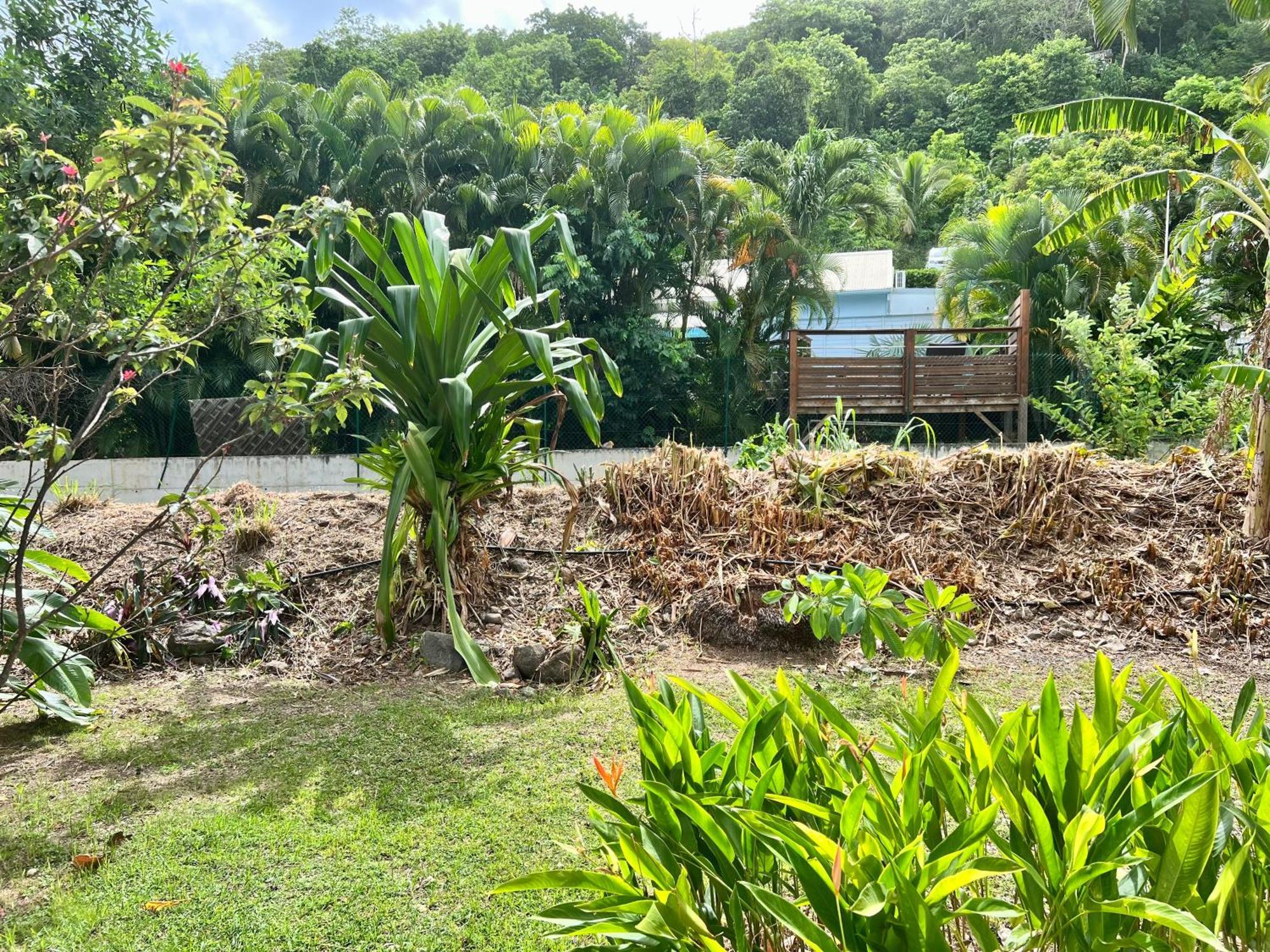 Villa Baz Creole Deshaies Exterior foto