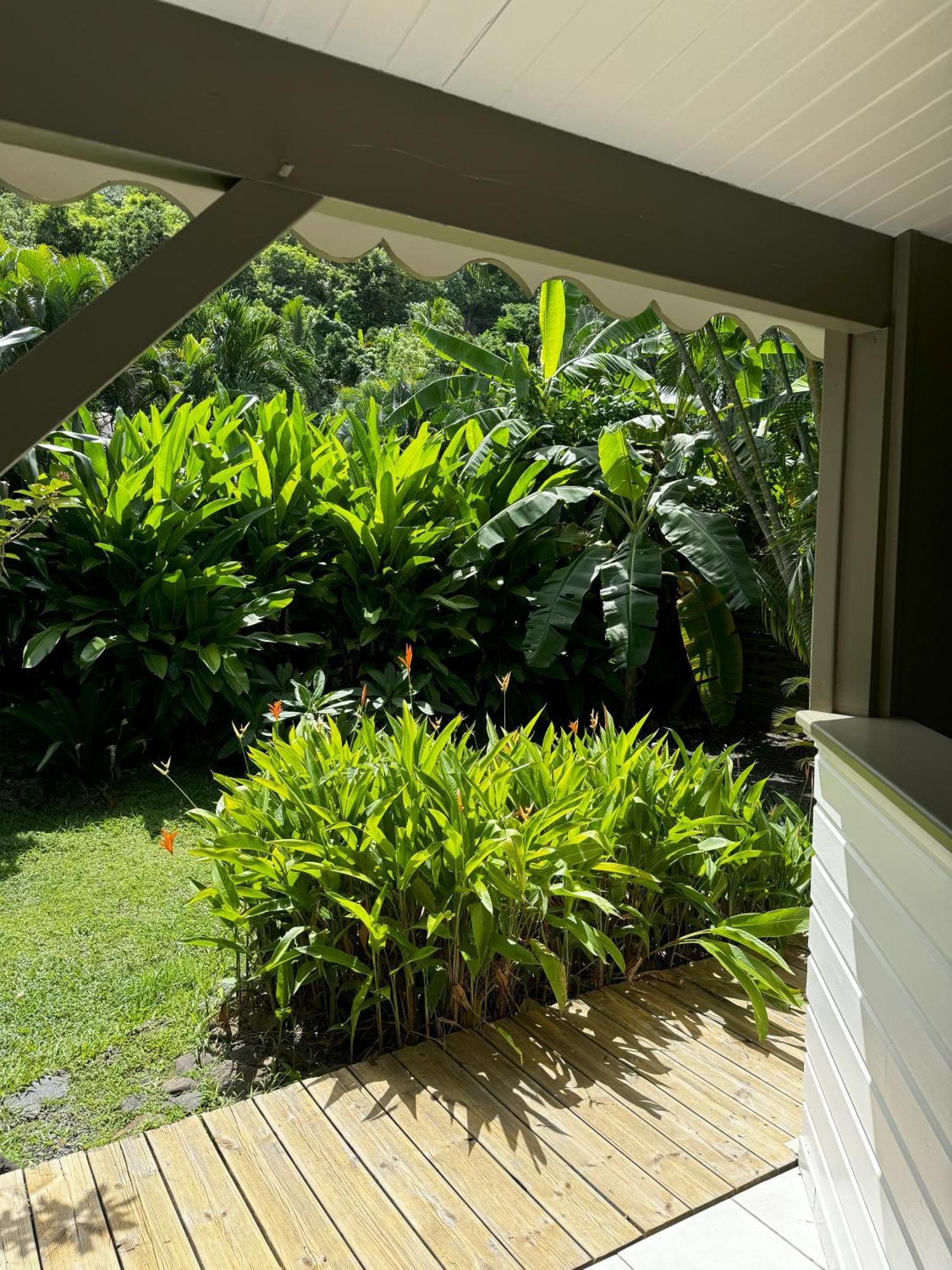 Villa Baz Creole Deshaies Exterior foto